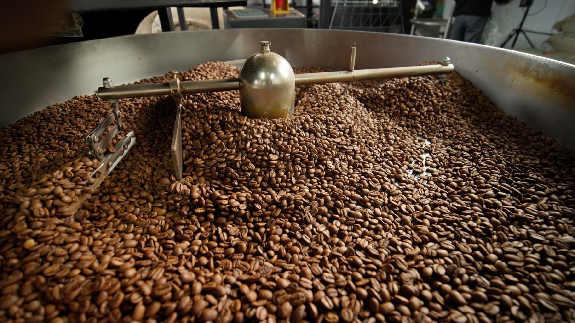 Sunshine Coast Specialty Coffee 1338 image 1