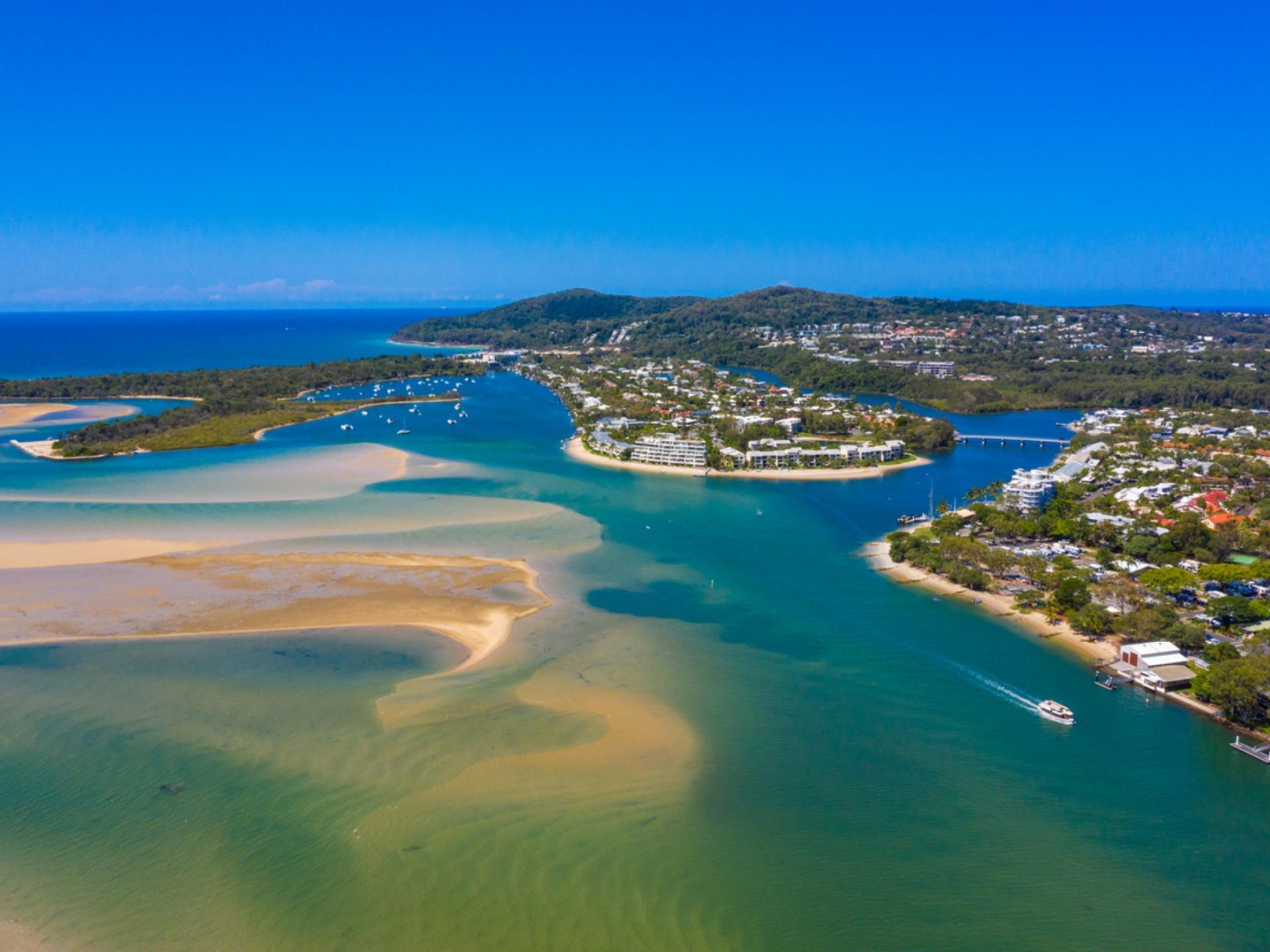 Noosa $1.3 million Profit 1365 image 1